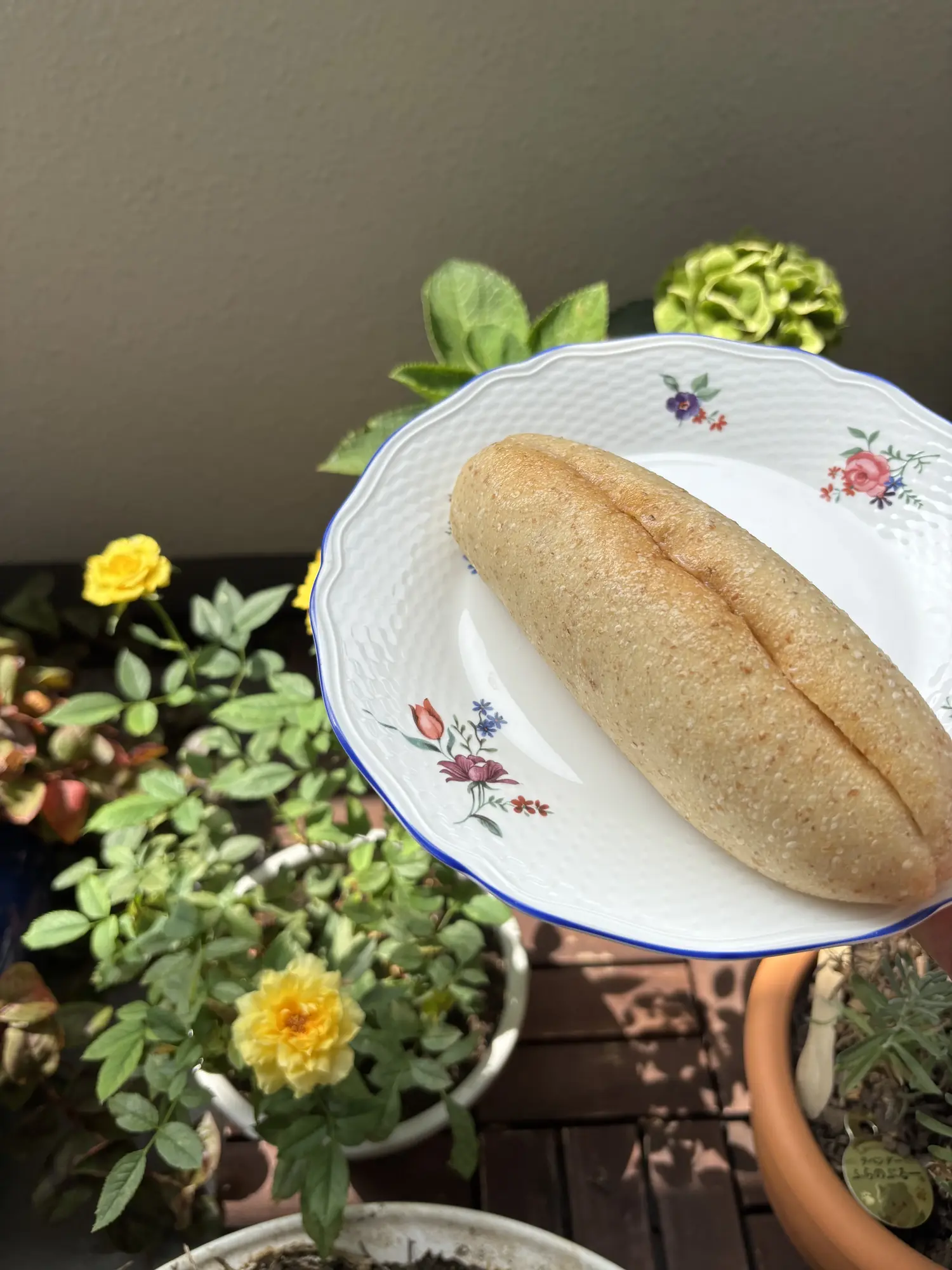 本日発送　3品出品　国産小麦&全粒粉&自家酵母　ロスパンセット① レピジャポネ - 70サイズ☆石臼挽き自家製粉有機小麦全粒粉の自家製