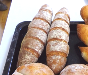 Health Bread Jujube - ドイツパン【腸活セット】本場ドイツ製法で12日