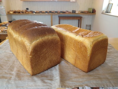 sorakuji人気の食事パンおまかせSET