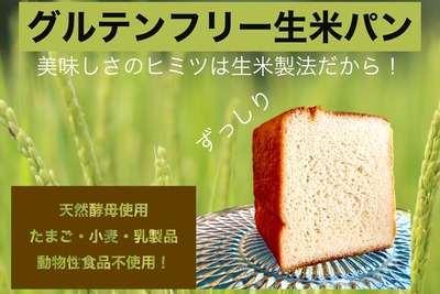 退会前に使用 天然酵母グルテンフリー生米食パン