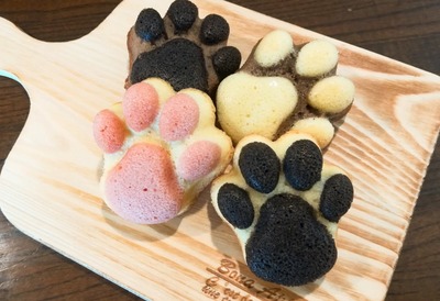 にゃんこマドレーヌ ギフトBOX