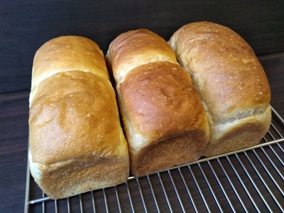 食パン三本 食べ比べセット