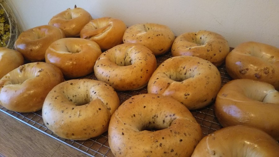 Nan S Bagel 定番ベーグルお試し8個セット 北海道産小麦使用 パンのお取り寄せ 通販サイト Rebake リベイク