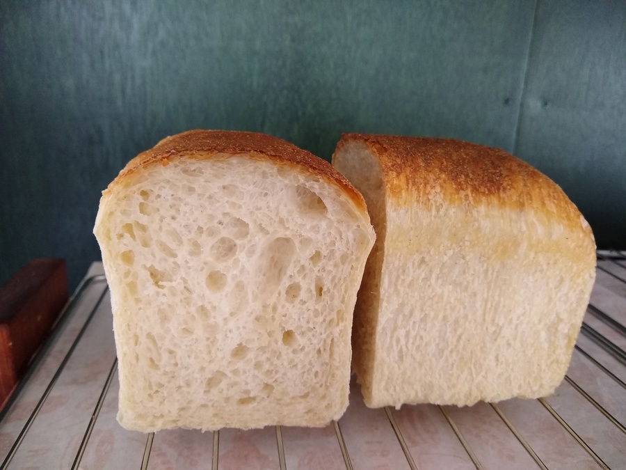 〖塩分控えめ〗素朴で味わい深い自家培養酵母TABIパンセットの画像5