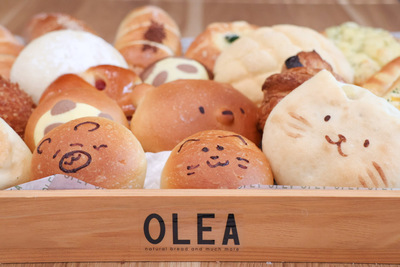 OLEAのパンセット