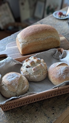 プチヘルメースのパンセット