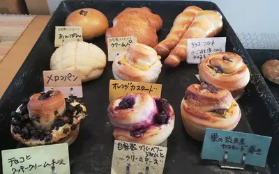 天然酵母むっちりパック