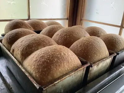 Plantbasedfoodfactoryてんねんやのパンセット