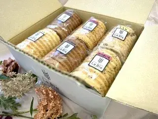 New！！  期間限定【プレーン・チョコレート・さつまいも・くるみ】北海道十勝産契約栽培小麦100%使用、北海道産生乳とバター100%使用、卵不使用のラウンド食パン ｢選べるハーフサイズ6個セット｣