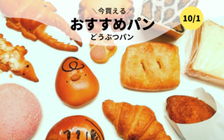 今買えるおすすめパン～どうぶつパン～