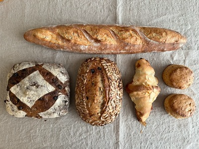 北海道産小麦を味わえるモリブロートのパンセット