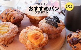 今買えるおすすめパン～プチギフト～