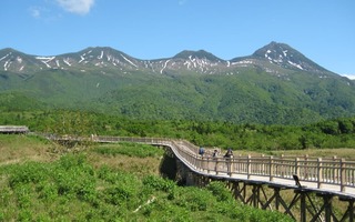 rebakeは、収益の一部を北海道の自然を守る知床財団に寄付をさせて頂いています。