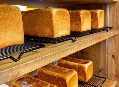 ゴメンねエアポート