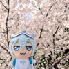 ももせ