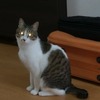 奈津貴
